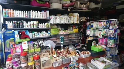 Sklep zoologiczny wędkarski Reksio